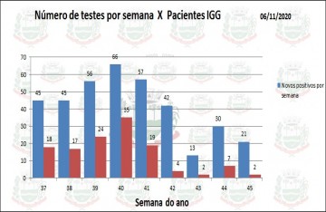 BOLETIM 239